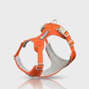 Whippet-Anti-Slip-Dog-Harness-Lightweight-Dog-Harness-Breathable-and-Durable-Adjustable-Vest-for-Medium-Sized-Dog-Greyhounds-2.jpeg Whippet Anti-Slip Dog Harness